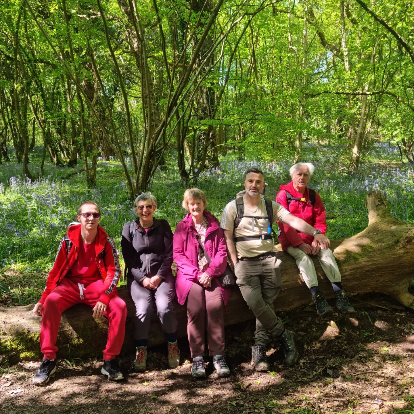 Sidley and Bexhill Right Path Hikes